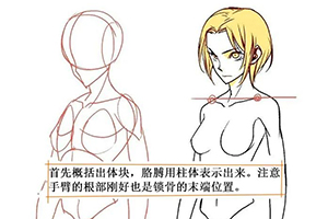 CG绘画中胳膊与胸腔的关系
