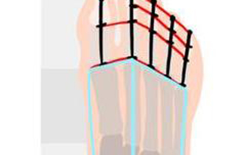 脚怎么画？CG绘画中脚部结构姿势画法教程