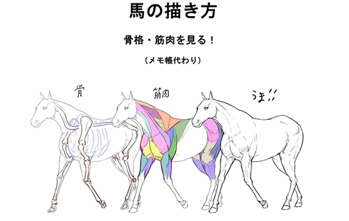 动物马的身体结构绘画方法！