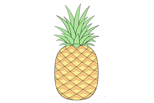 怎样才能画好菠萝？画菠萝有哪些技巧？