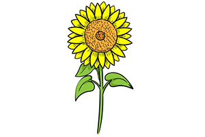 怎样画好向日葵？超简单的向日葵画法教程！