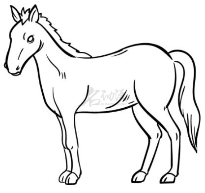 马怎么画才像小马绘画小教程