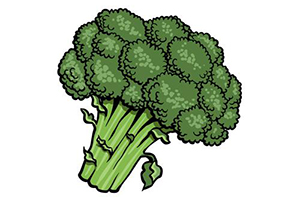 蔬菜怎么画？超简单的蔬菜画法教程！