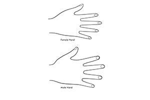 怎样画好人体手部？超简单的人体手部画法教程！