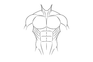 人体肌肉绘画技法，教你画超简单人体肌肉