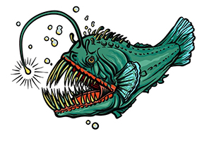 怪鱼如何画？深海安康鱼画法教程？