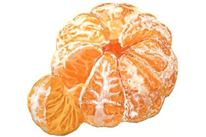 橘子怎么画？新手画橘子入门教程