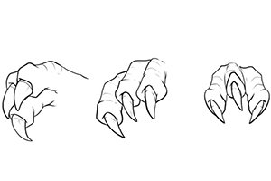0基础插画,画简单的动物爪子教程