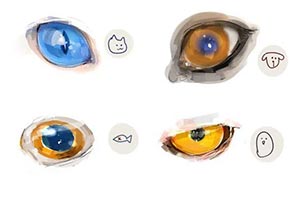 动漫角色眼睛绘制方法分享